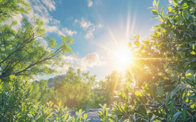 Sunshine on Your Mind: How Getting Outside Boosts Your Mood